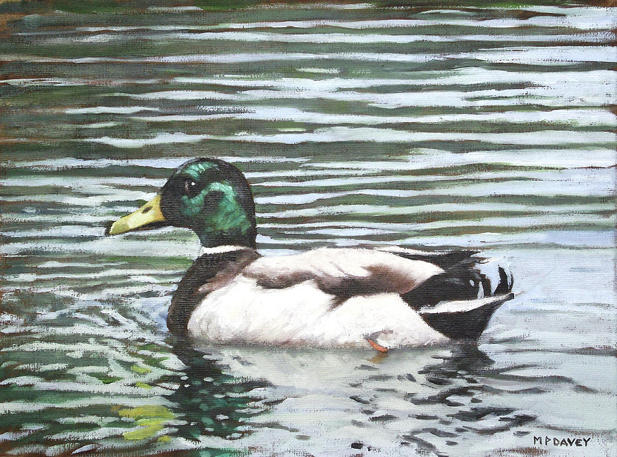 Single mallard duck in water Painting by Martin Davey