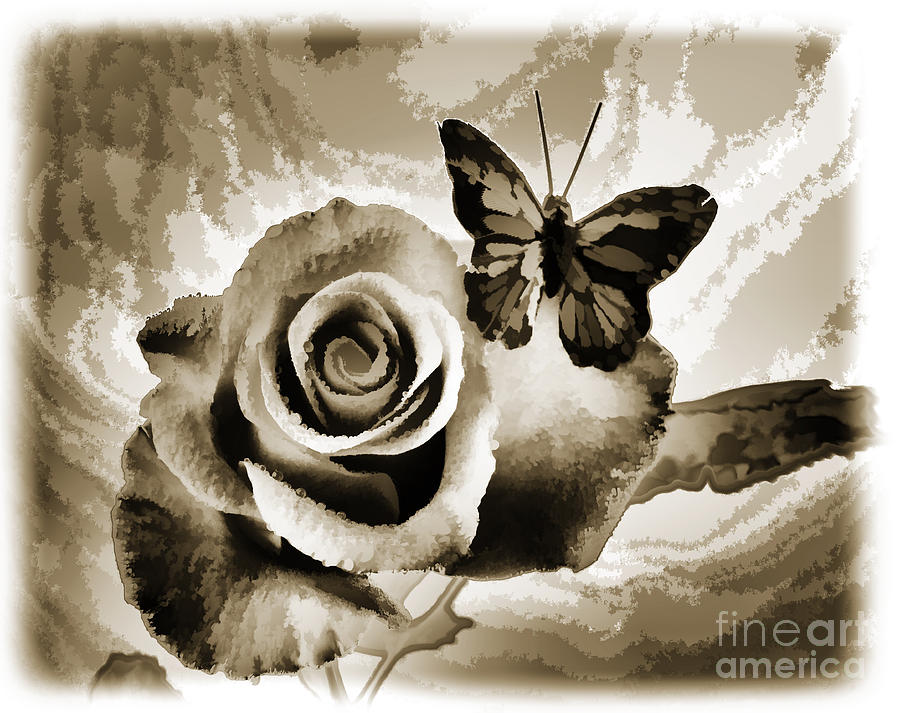 Single Open Rose flower Butterfly Painting in Sepia 3188.01 Painting by M K Miller