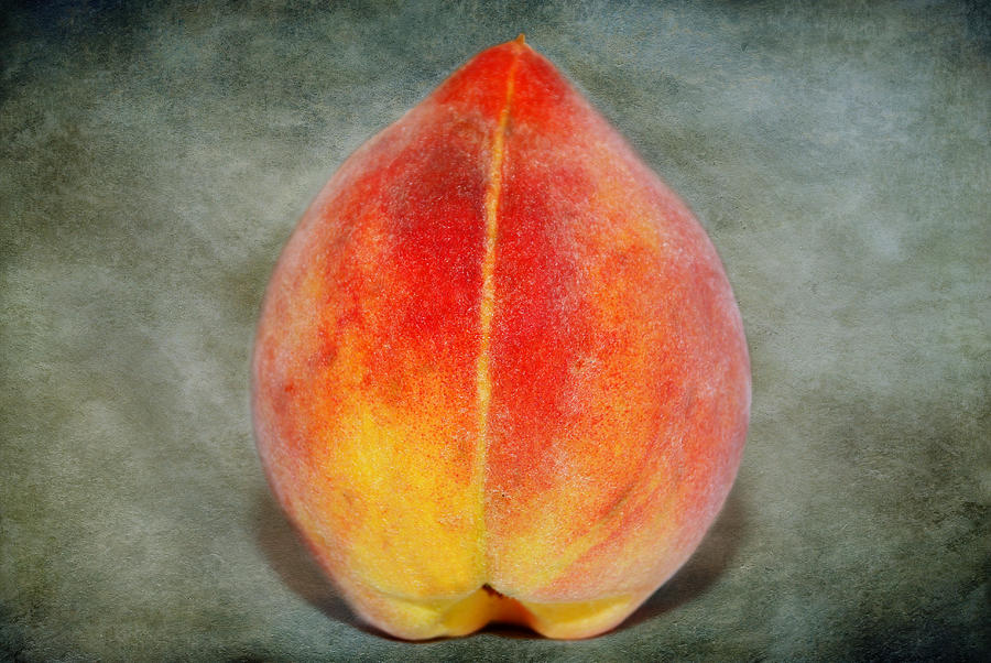 Single Peach Photograph by Linda Segerson