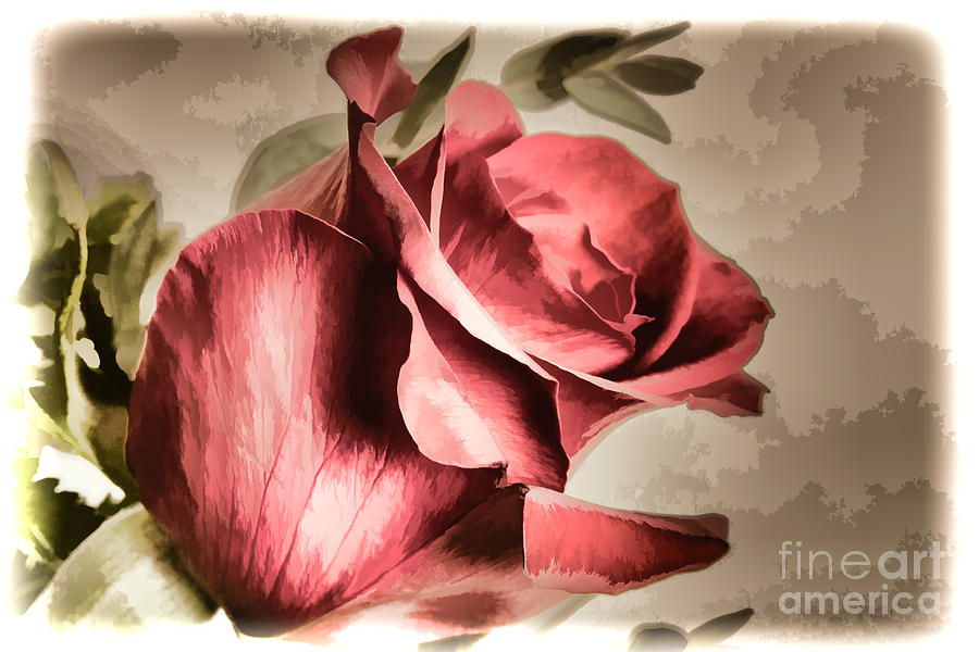 Single Red Rose flower Painting in Sepia 3183.02 Painting by M K Miller