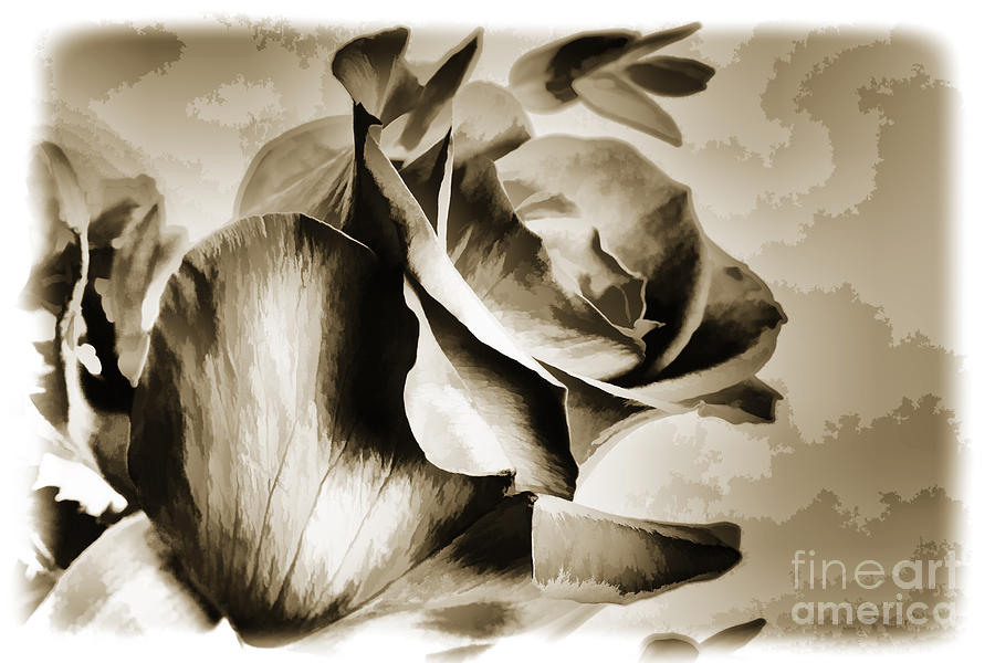 Single Rose flower Painting in Sepia 3183.01 Painting by M K Miller