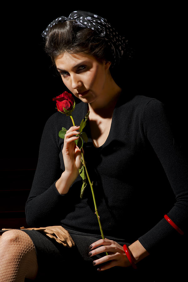Single rose Photograph by Jim Boardman