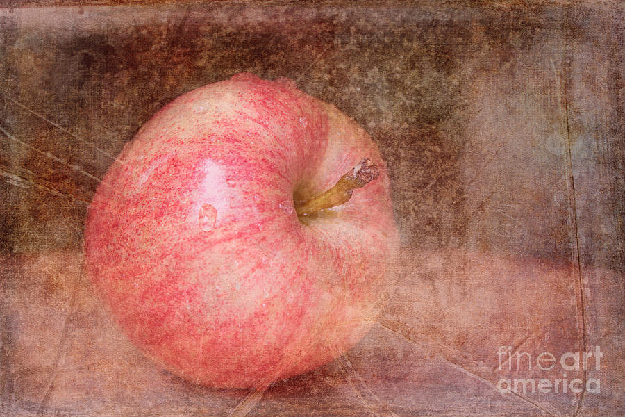 Apple Photograph - Single Textured Apple by Arlene Carmel