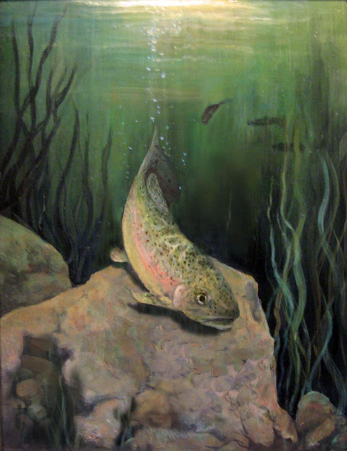Single Trout Painting by Donna Tucker