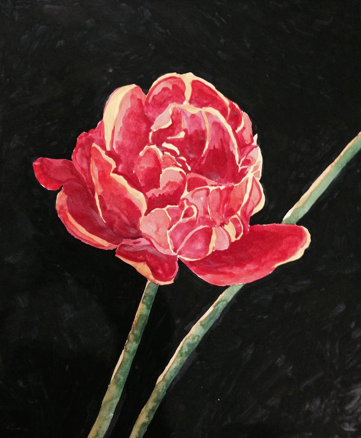 Single Tulip on Black Background Painting by Cristel Mol-Dellepoort - Fine  Art America