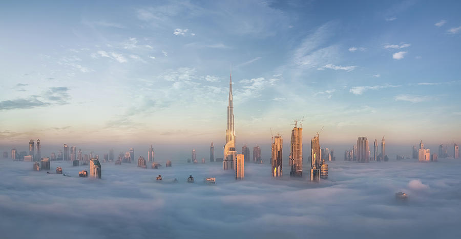 Landscape Photograph - Sinking In Fog by Khalid Jamal