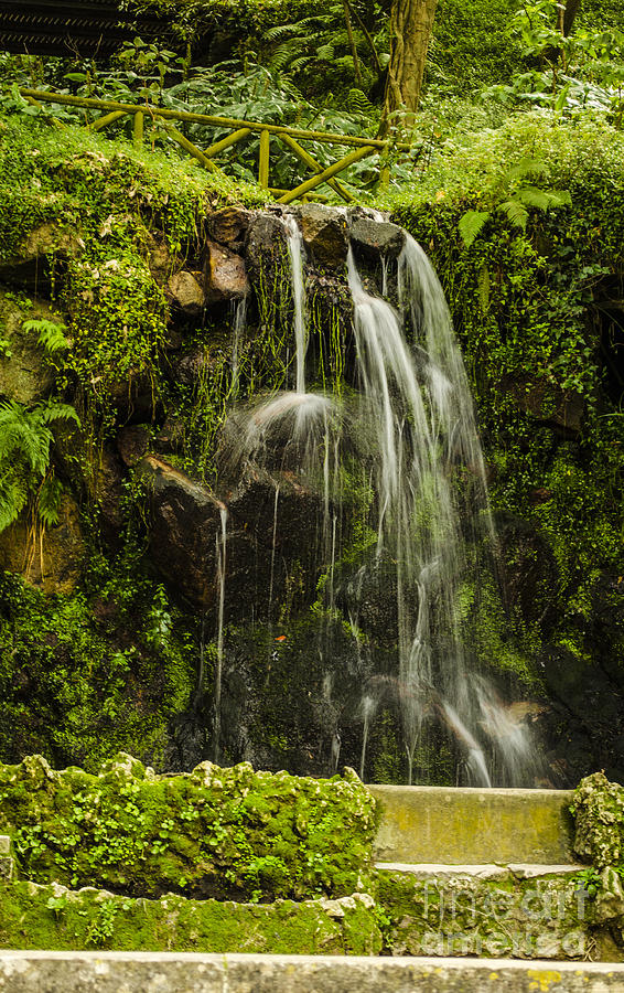 Sintra Waterfall Photograph by Deborah Smolinske