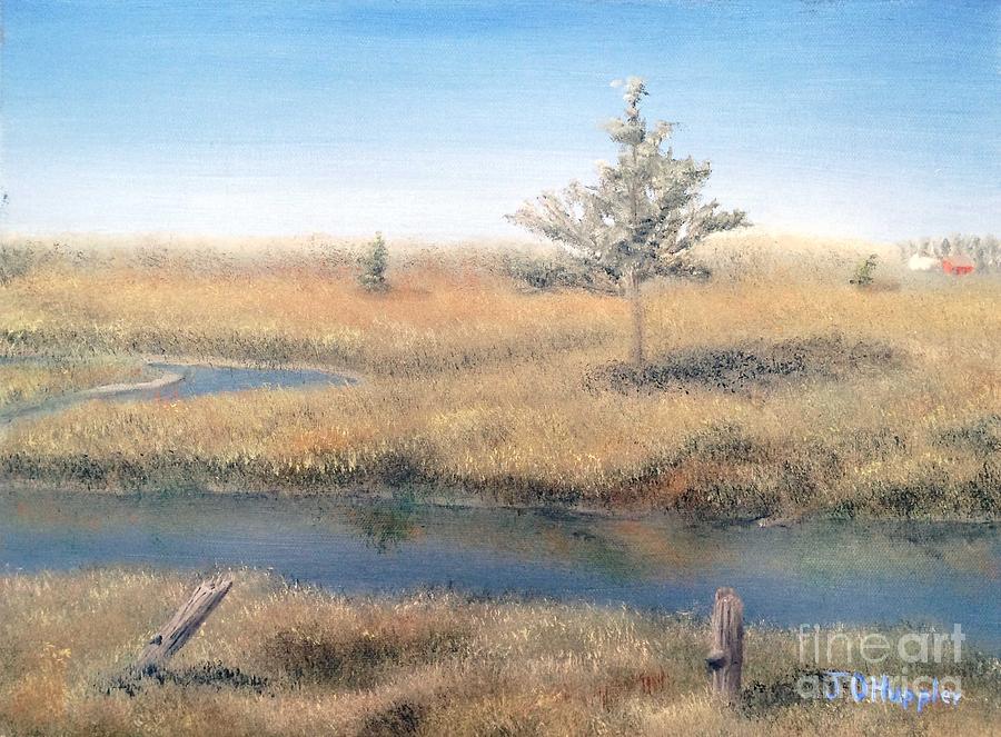 Nature Painting - Sioux River  by J O Huppler