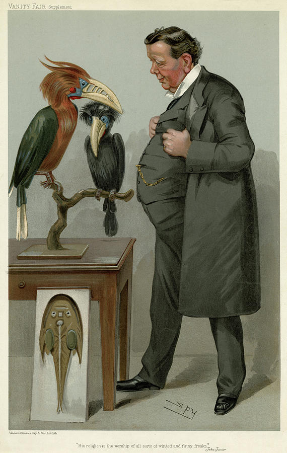 Sir Edwin Ray Lankester Zoologist Drawing by Mary Evans Picture Library