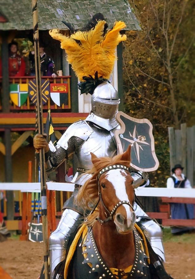 Sir Knight Photograph by Rodney Lee Williams