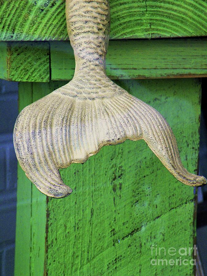 Mermaid Tail Photograph - Sirens Tail by Joe Pratt