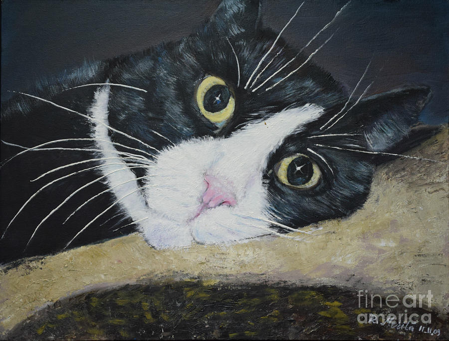 Sissi the Cat 3 Painting by Raija Merila