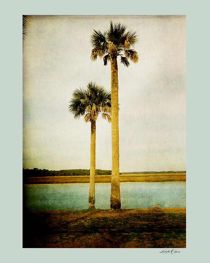 Sista Palms Photograph by Linda Olsen