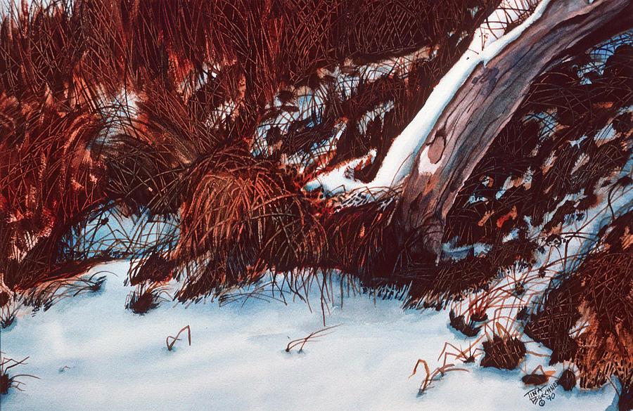Winter Painting - Sisters Ditch by Tina Buechner