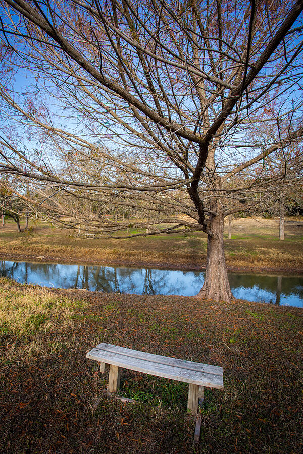 Sit and Dream Photograph by John Wadleigh