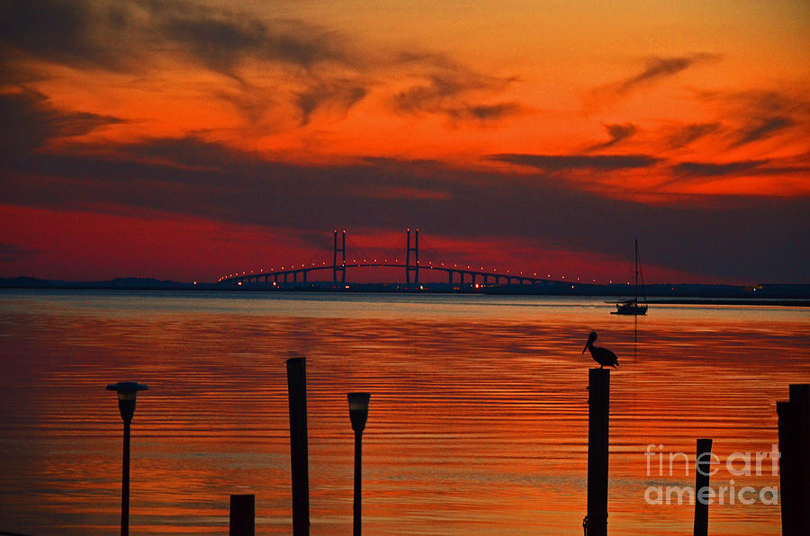 Sunset Photograph - Sittin on the dock by Frank Larkin
