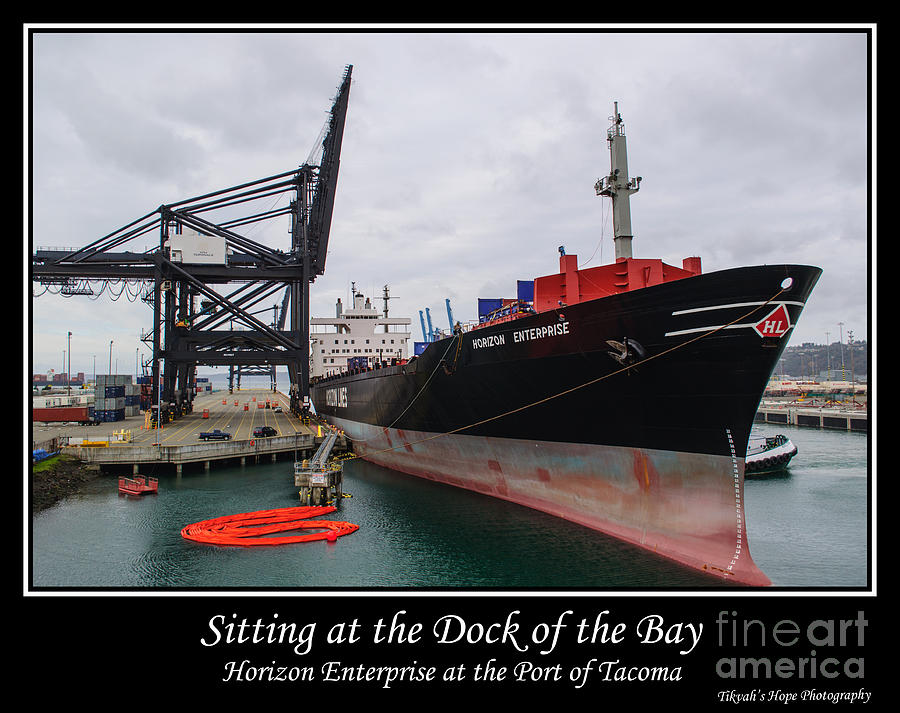 Sitting at the Dock of the Bay Photograph by Tikvahs Hope