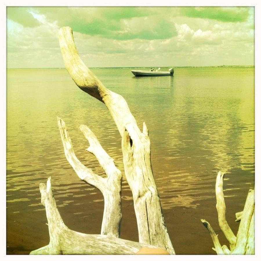 Sitting By The Bay Photograph By Adrianne Wilkinson Fine Art America