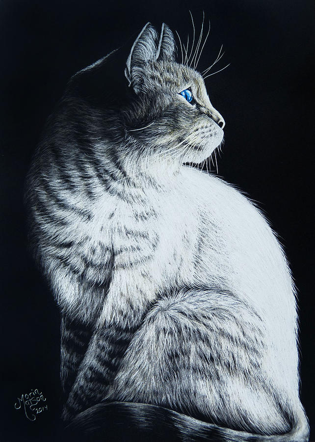 Sitting Cat Drawing By Monique Morin Matson