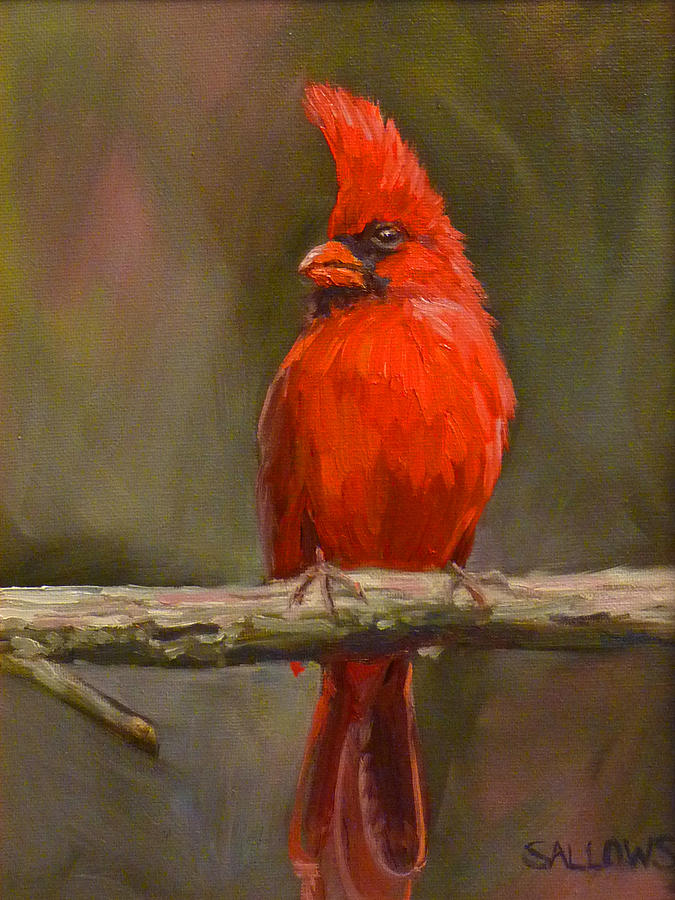 Cardinal Painting - Sitting Pretty by Nora Sallows Cardinal Painting - Sitting Pretty by Nora Sallows