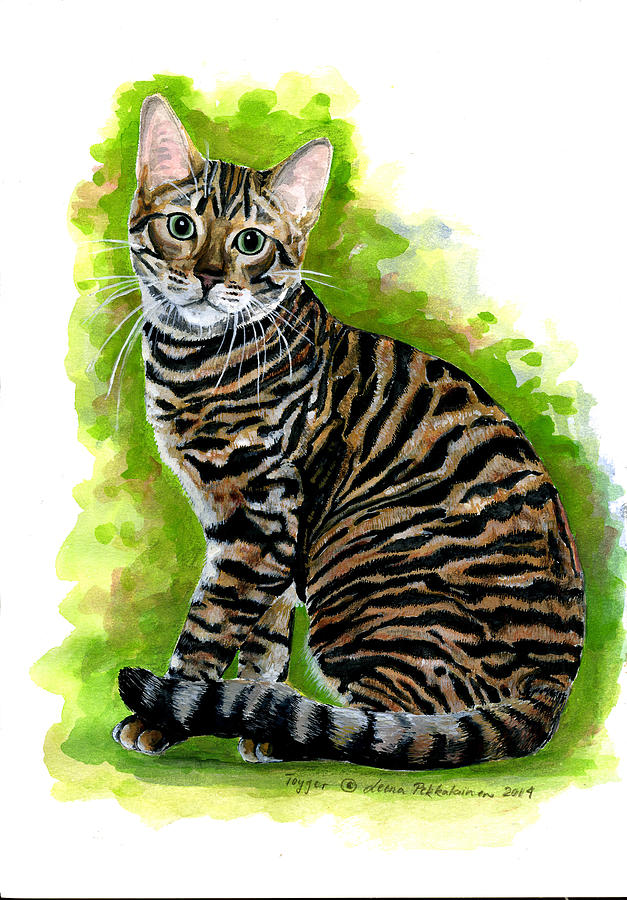 Cat Painting - Sitting Toyger by Leena Pekkalainen