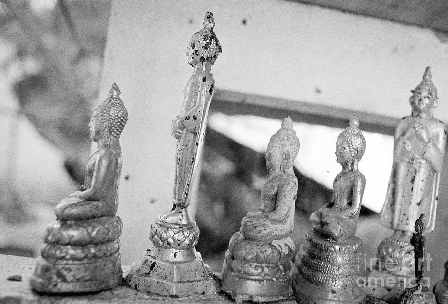 Six Buddhas Photograph by Dean Harte