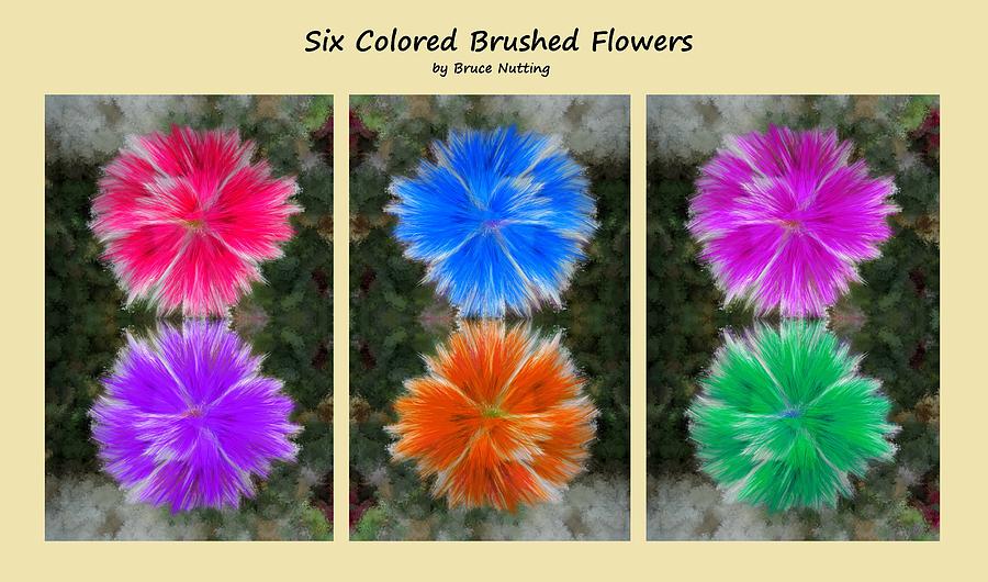 Six Colored Brushed Flower Collage Painting by Bruce Nutting