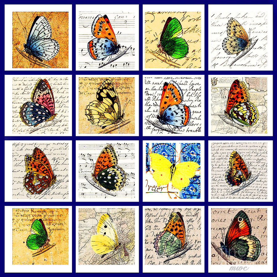 Sixteen Butterflies by Marian Cates Sixteen Butterflies by Marian Cates