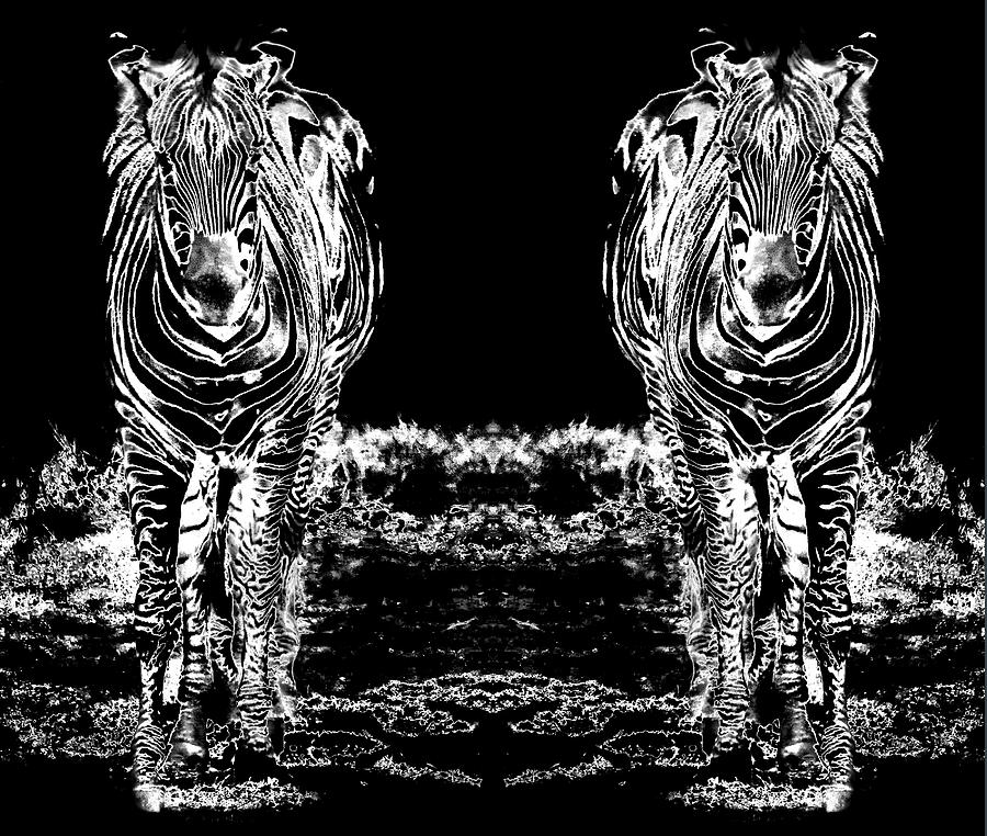 Black And White Photograph - Sixteen legs Of Zebras by Miroslava Jurcik