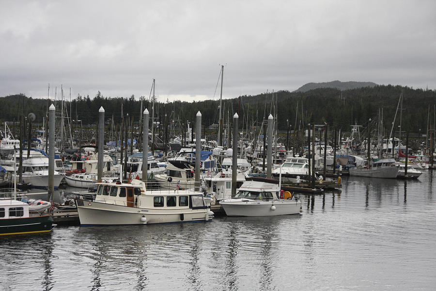 Skagway Marina Photograph by Jason Standiford