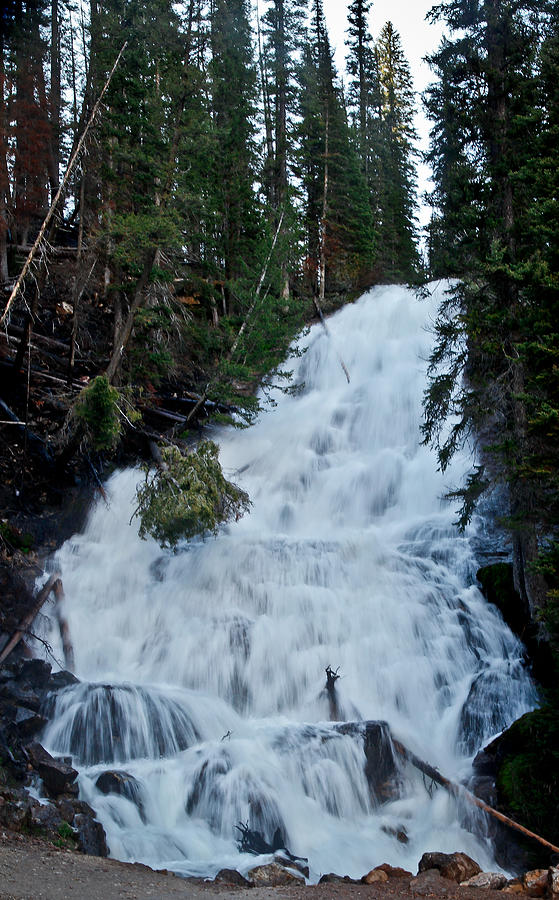 Skalkaho Falls in Montana Photograph by Athena Mckinzie