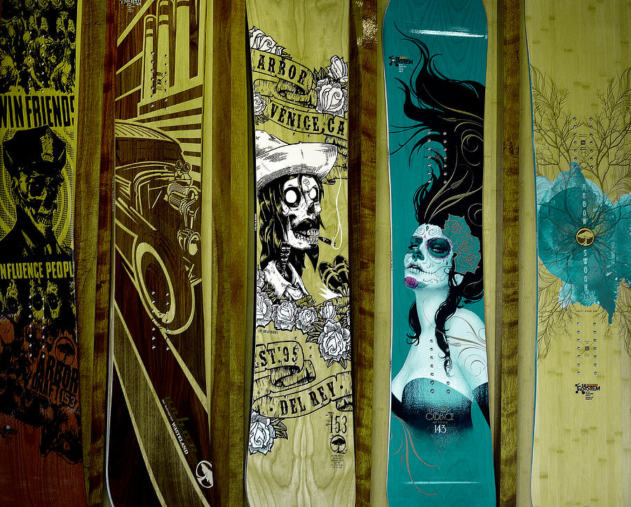 Skateboards In Olive Photograph by Fraida Gutovich