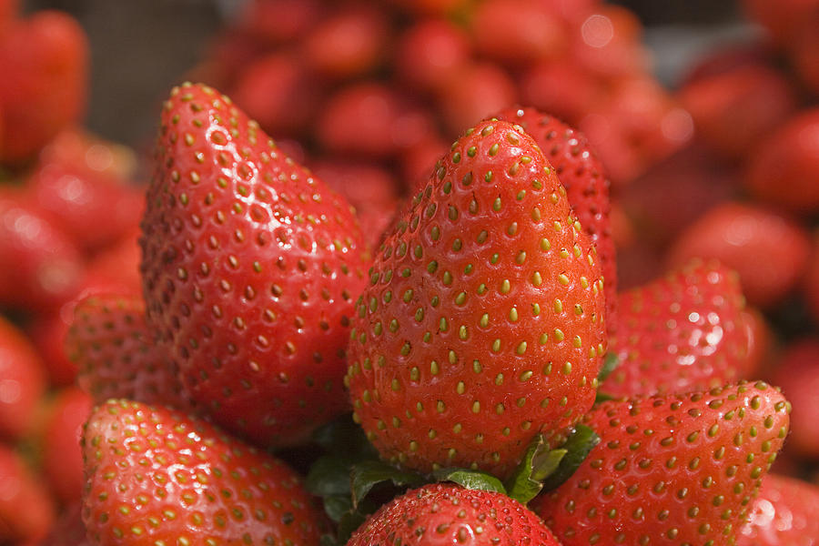 SKC 4702 Sweet Strawberries Photograph by Sunil Kapadia