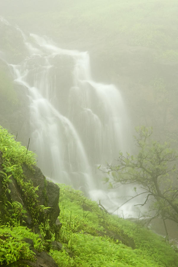 Nature Photograph - SKC 7502 Cascade in Fog by Sunil Kapadia