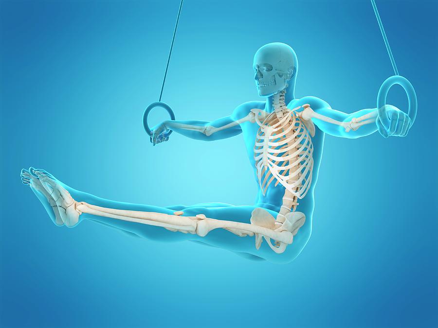 Skeletal Structure Of Athlete Photograph by Sebastian Kaulitzki/science Photo Library
