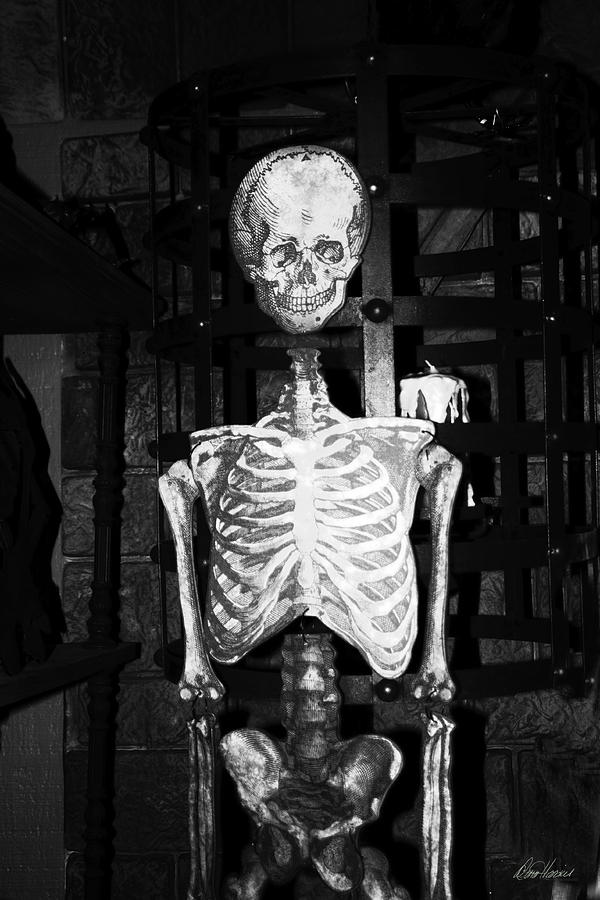 Skeleton in the Dungeon Photograph by Diana Haronis