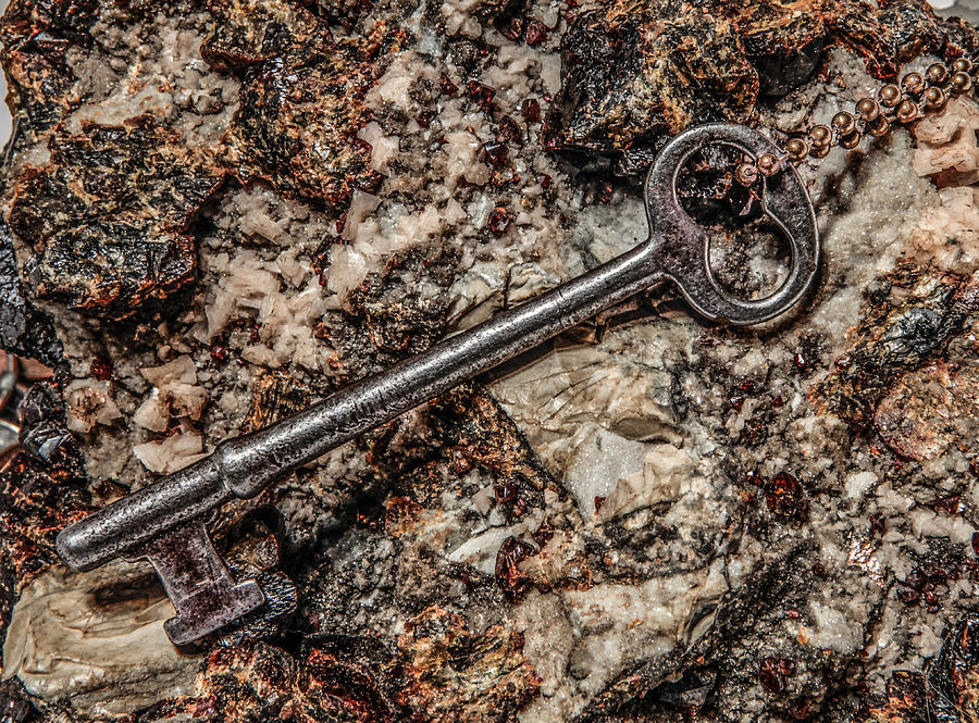 Skeleton Key Photograph by Ray Congrove
