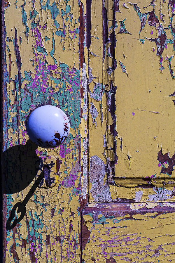 Skeleton Key Shadow Photograph by Garry Gay