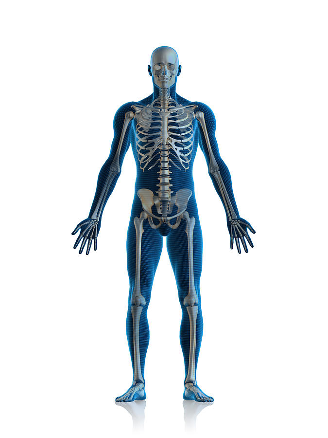 Skeleton man Photograph by Comotion_design