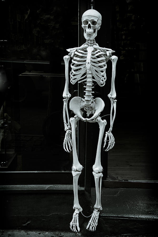 Skeleton New York City Photograph by Garry Gay