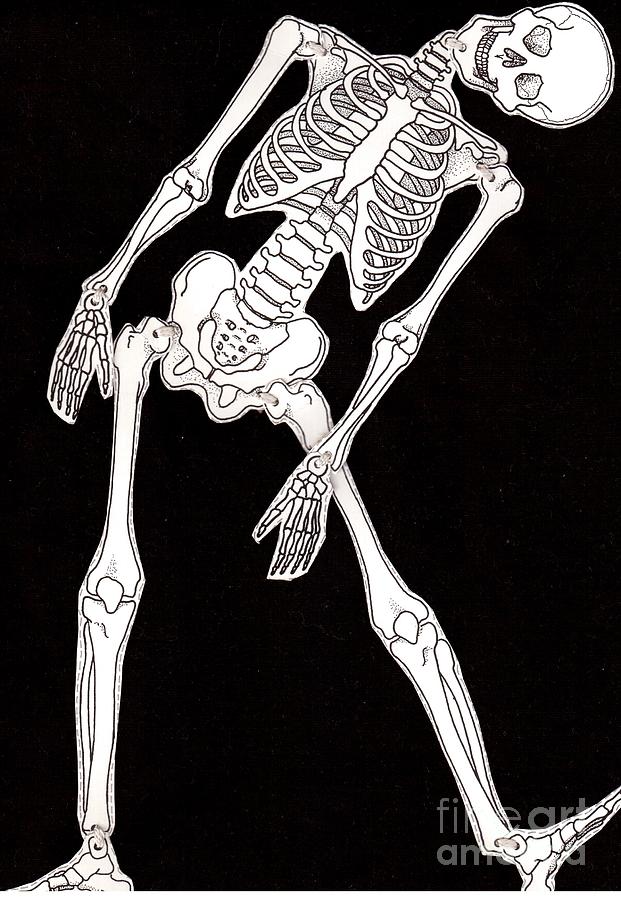 Skeleton Drawing by Oleg Konin