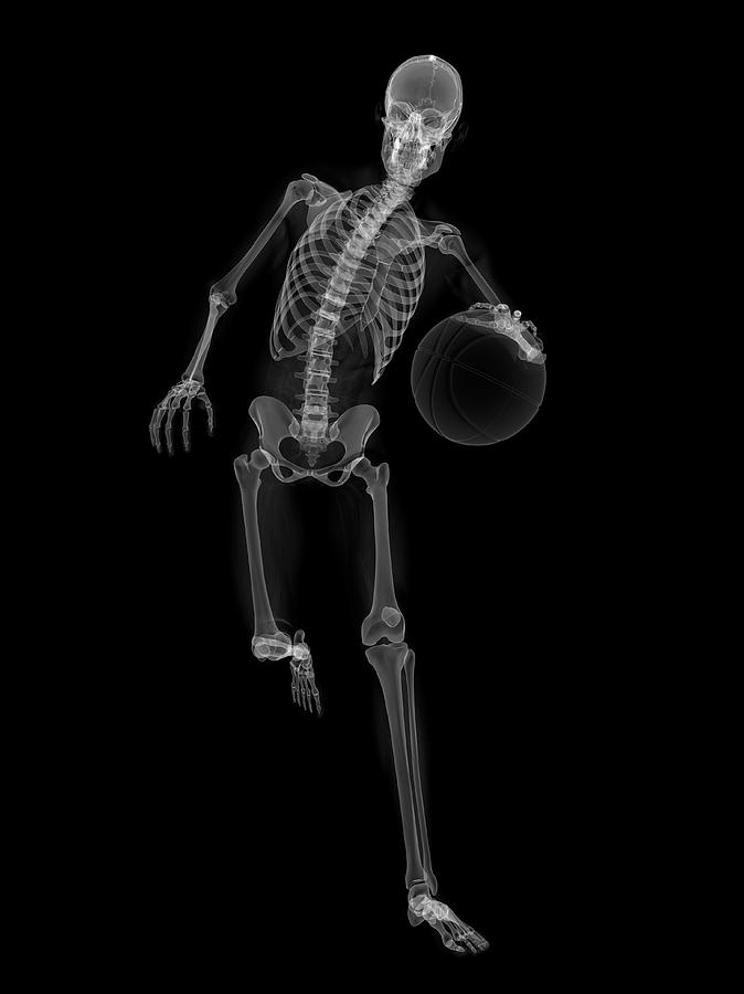 Skeleton Playing Basketball Barstool Sports Store Skeleton Champs
