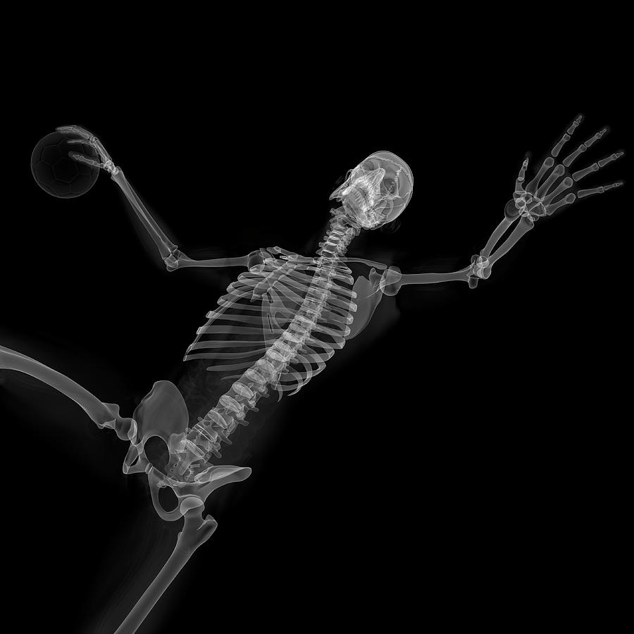 Skeleton Playing Handball Photograph by Sciepro/science Photo Library