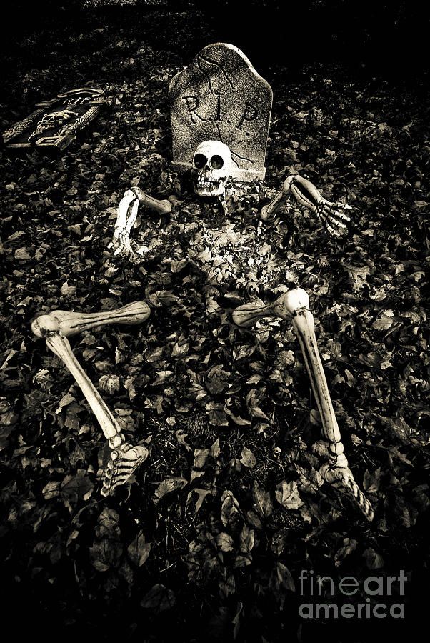 Halloween Photograph - Skeleton Rising from the Dead by Amy Cicconi