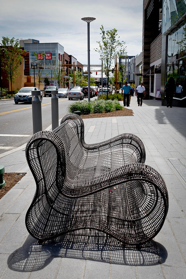 Skeleton seat Photograph by Bob Caddick - Fine Art America