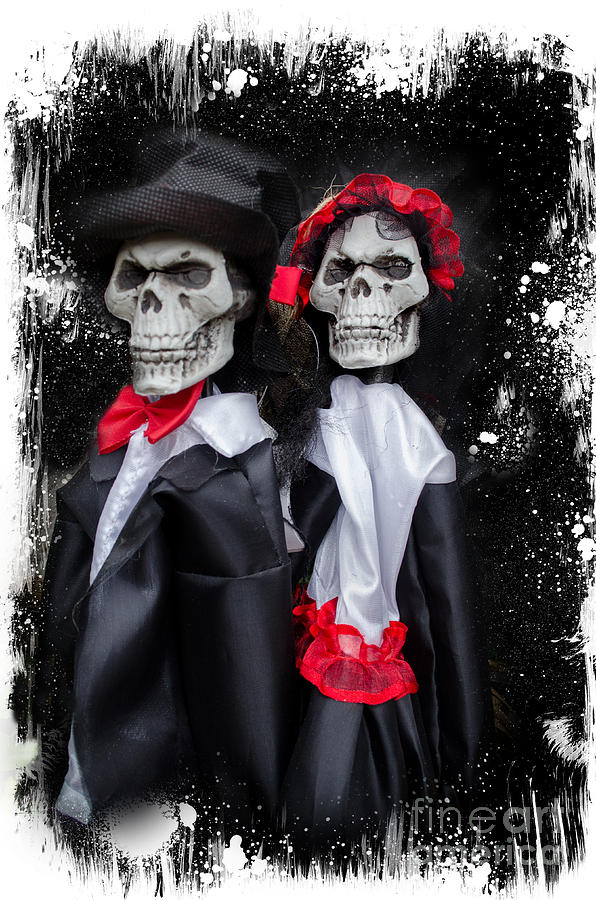 Skeleton Wedding Photograph by Norma Warden