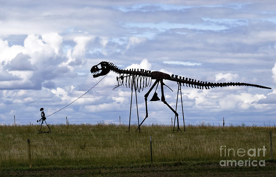 Skeletons in South Dakota Photograph by Ted Guhl | Fine Art America