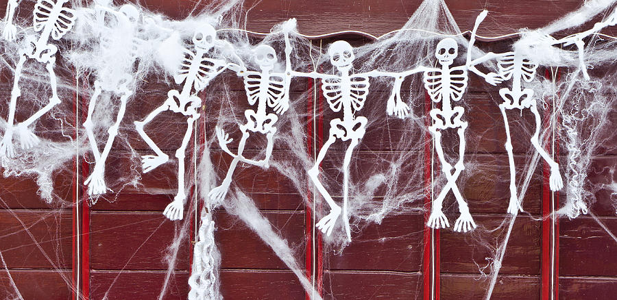 Fall Photograph - Skeletons by Tom Gowanlock