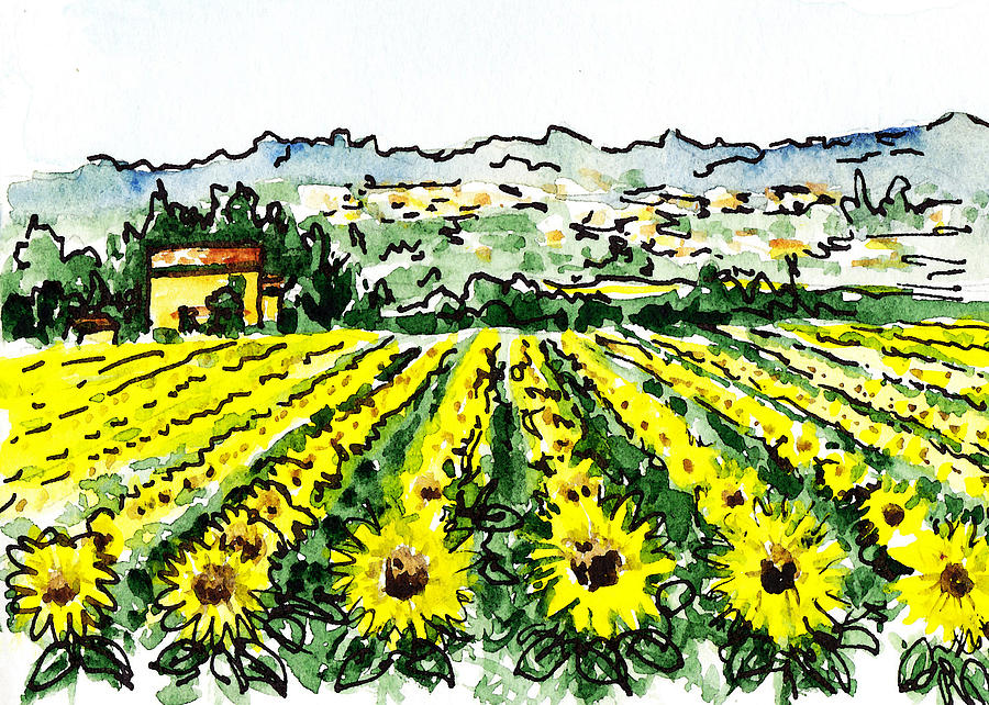 Sketching Italy Sunflowers of Tuscany Painting by Irina Sztukowski
