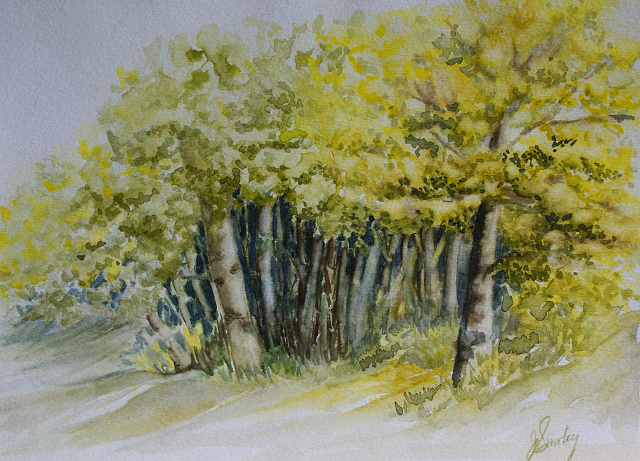 Sketching Trees Painting by Jo Smoley